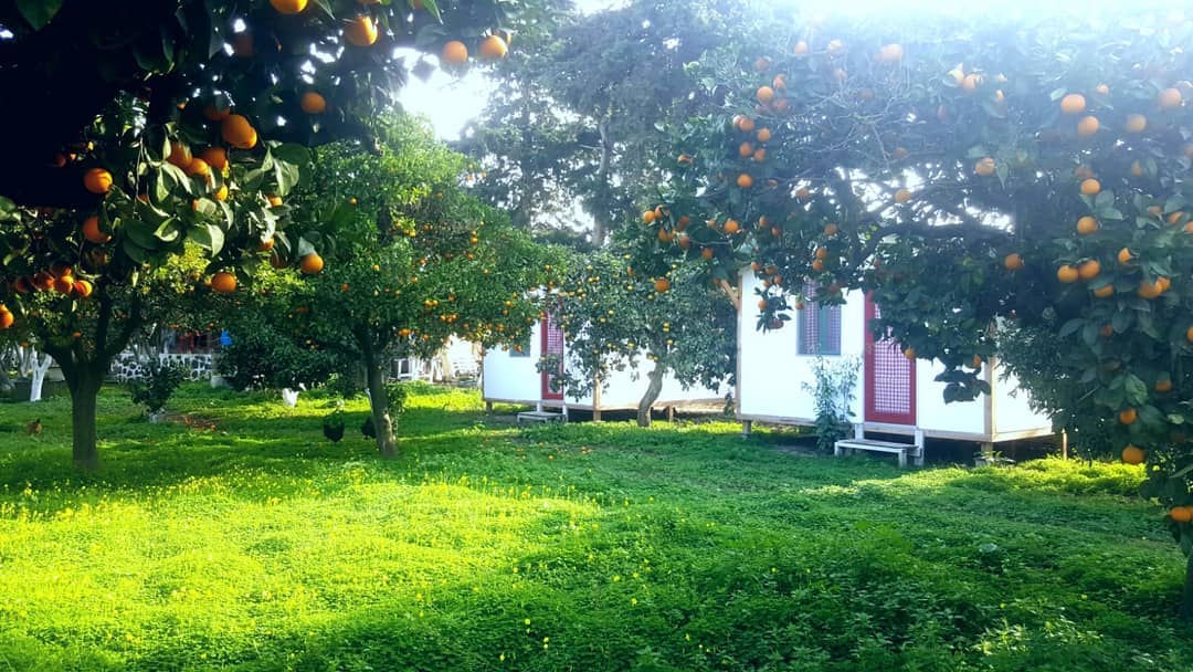 Bodrum Ecofarm Camping & Hostel