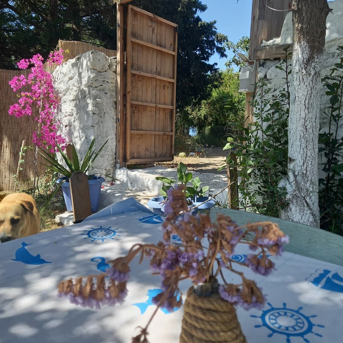Wanderheaven Camping & Tiny House Bodrum