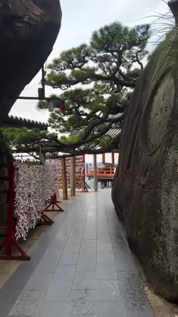 Japonya'da Yaz Macerası: Tokyo'dan Hiroshima'ya