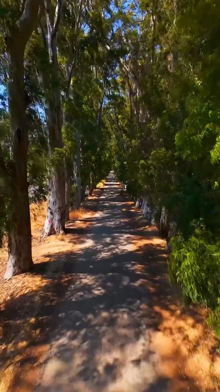 Romantischer Spaziergang auf dem Aşıklar-Weg in Gökova