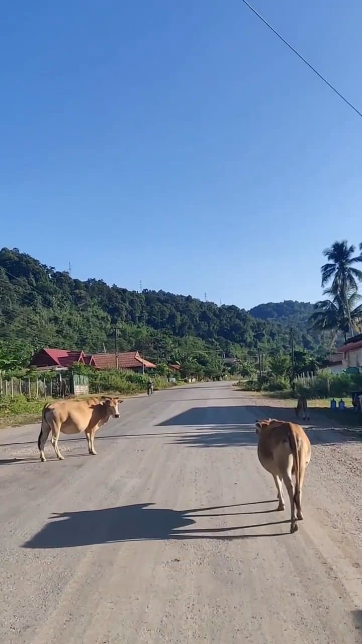 16 Days Exploring the Heart of Laos