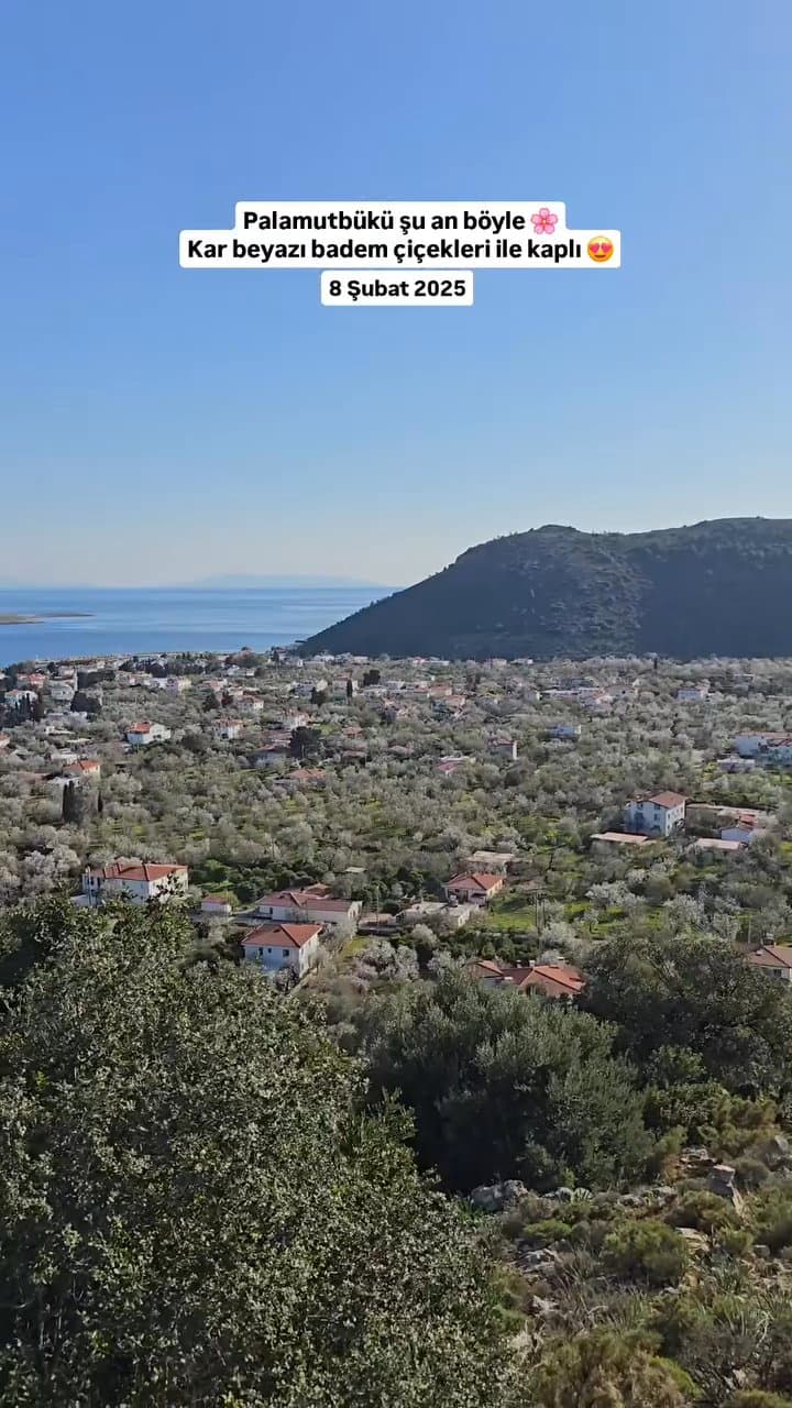 Winterwunder: Frühlingsgefühle in Datça