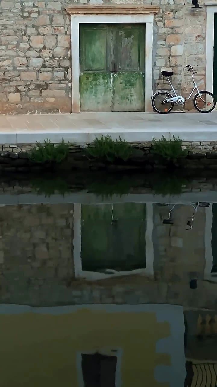 Deniz kenarında Şıba ile tatil