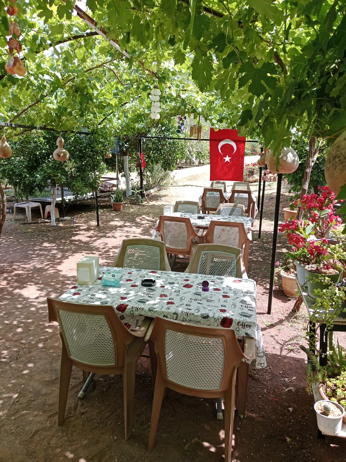 Adrasan Canısı Fast Food