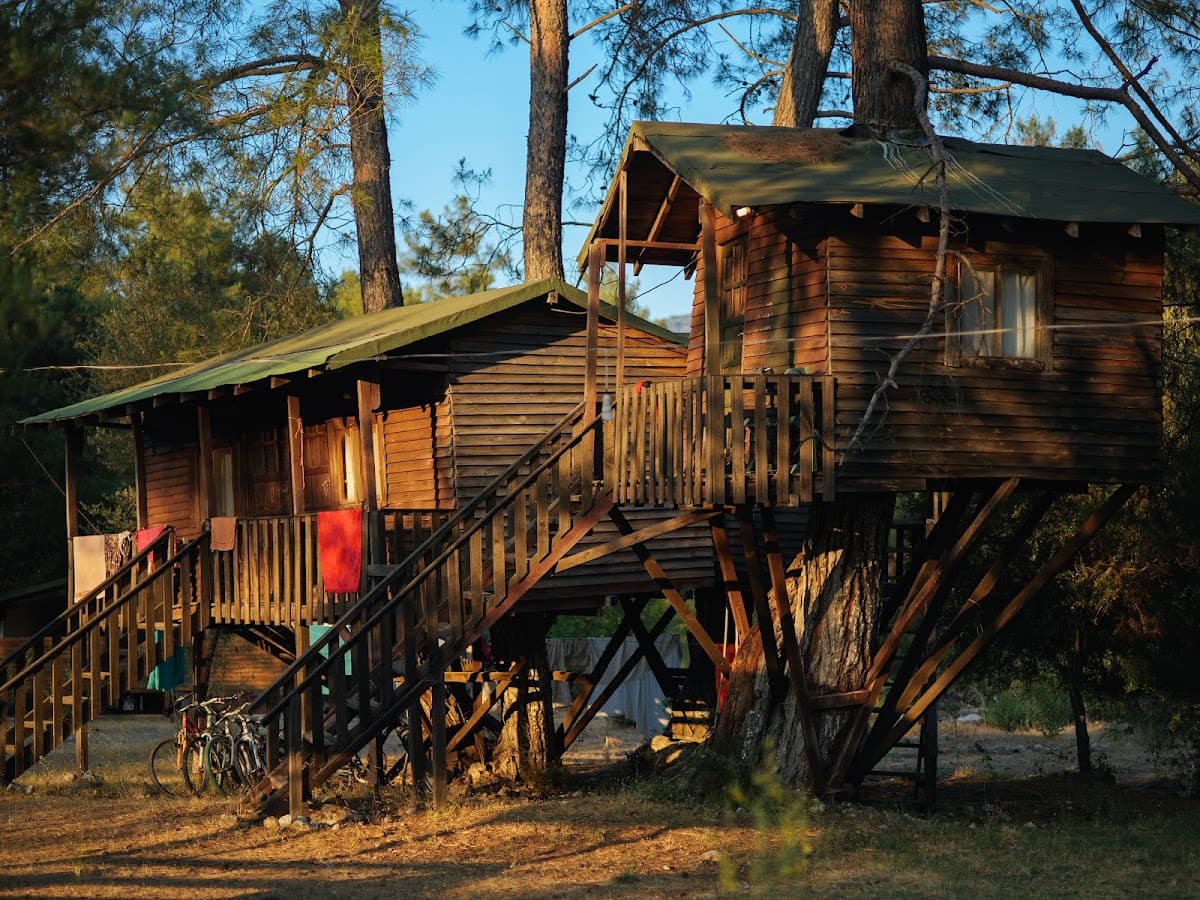Olympos Woods