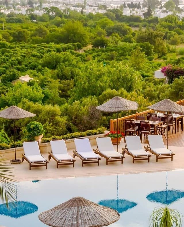 4reasons hotel + bistro (12+)