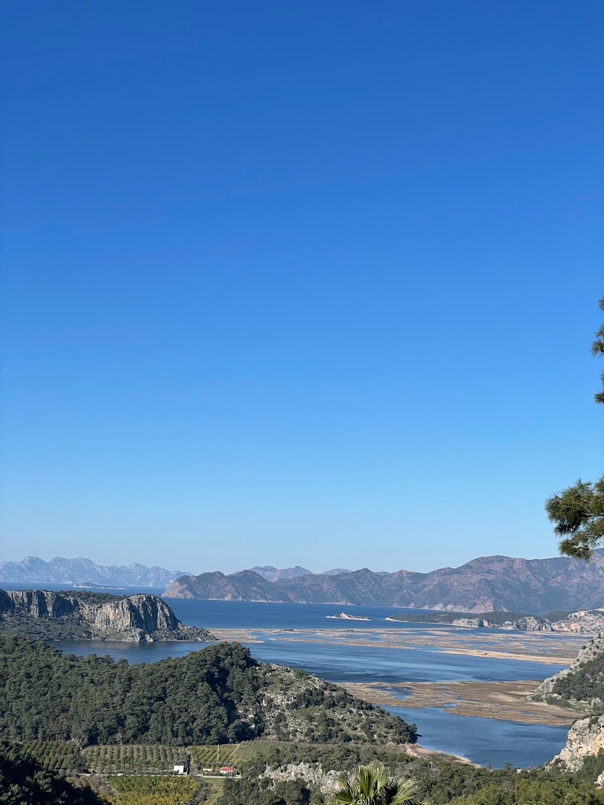 dalyan drone