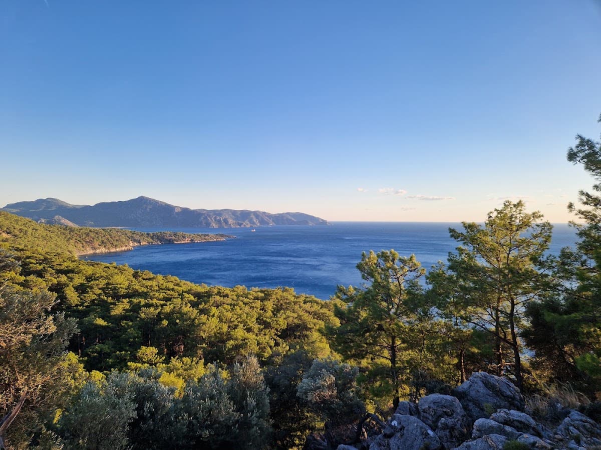 Çandır Ekincik Orman Yolu Viewpoint