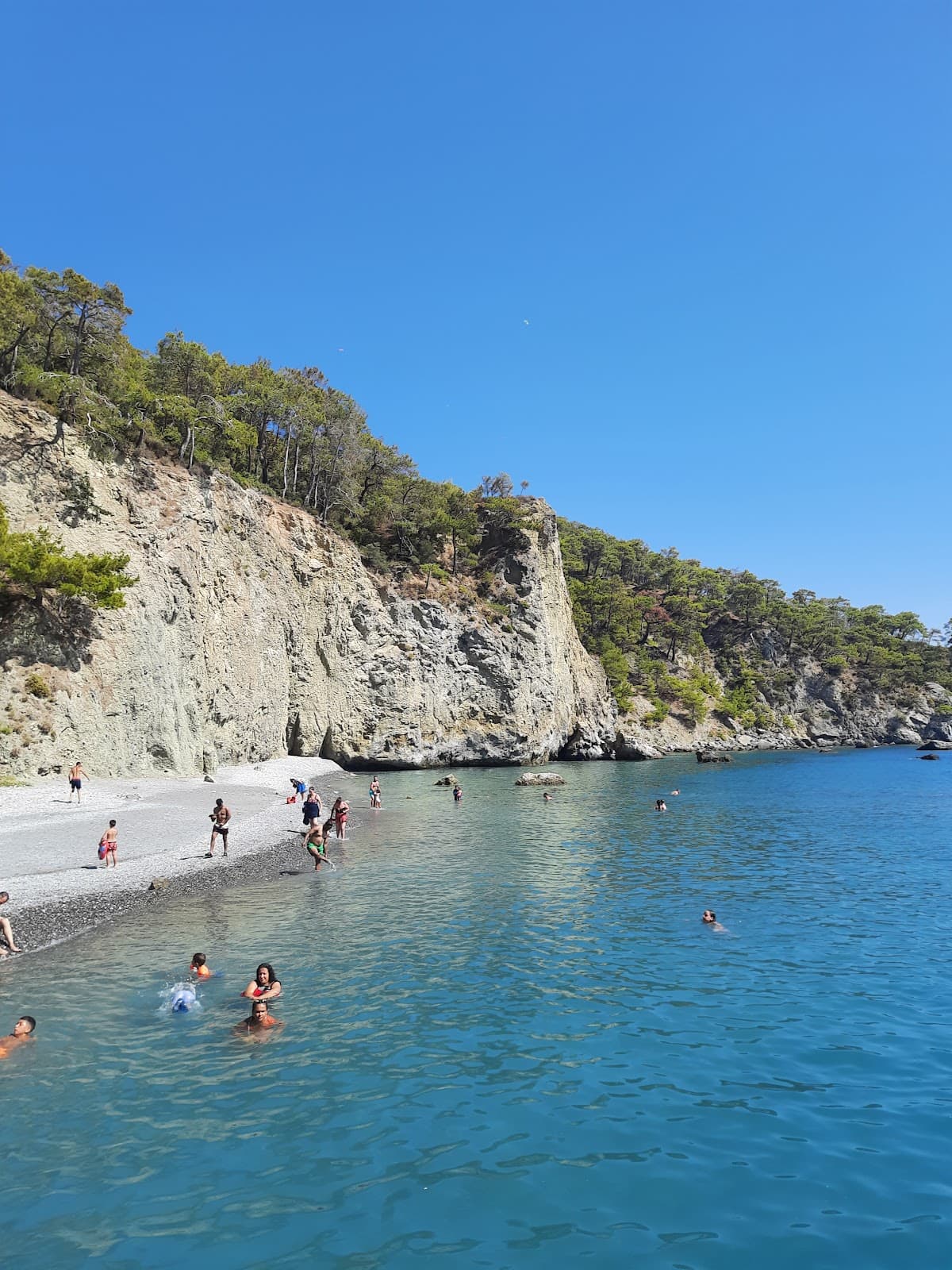 Camel Beach