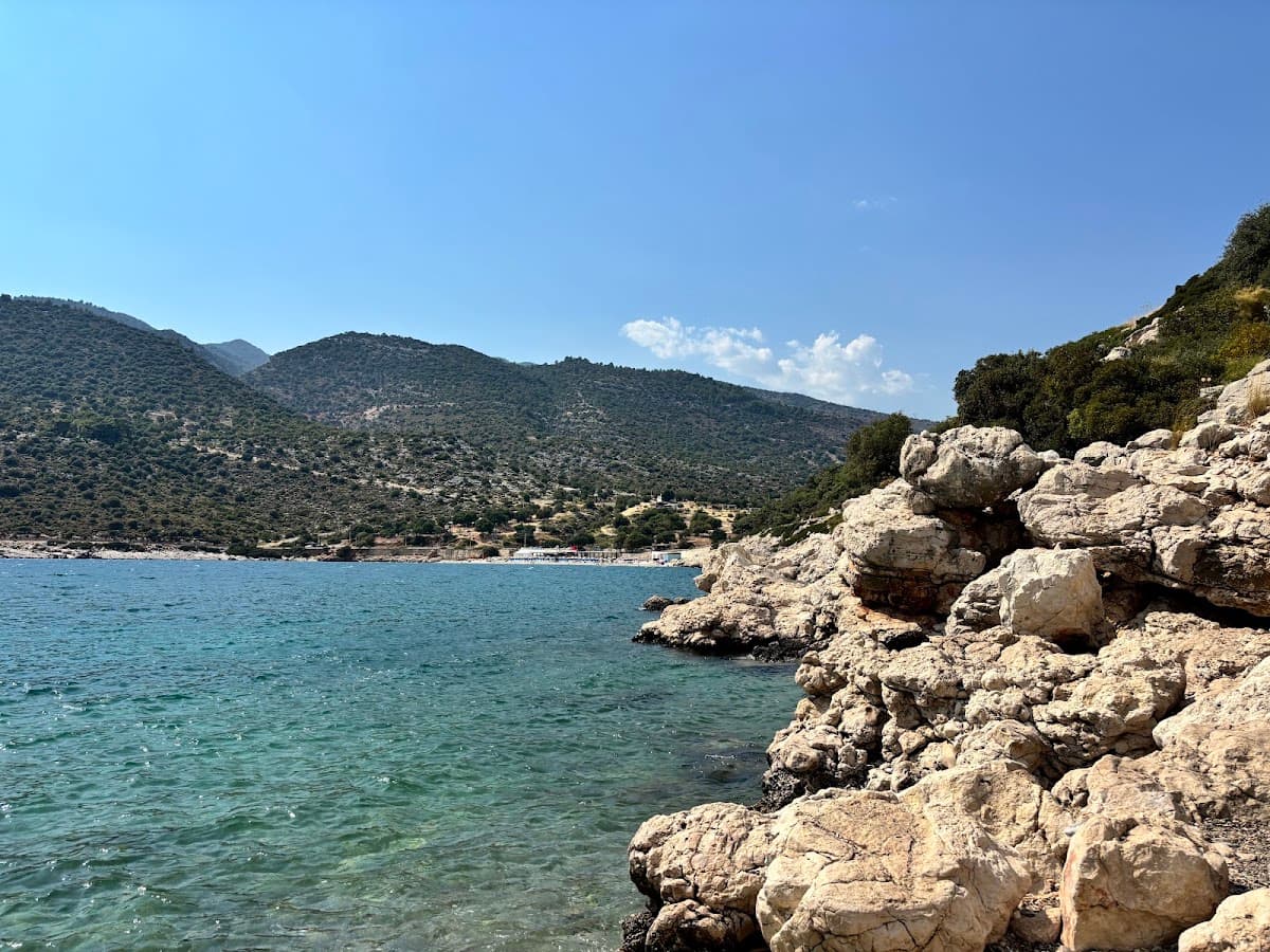 Mendikli koyı