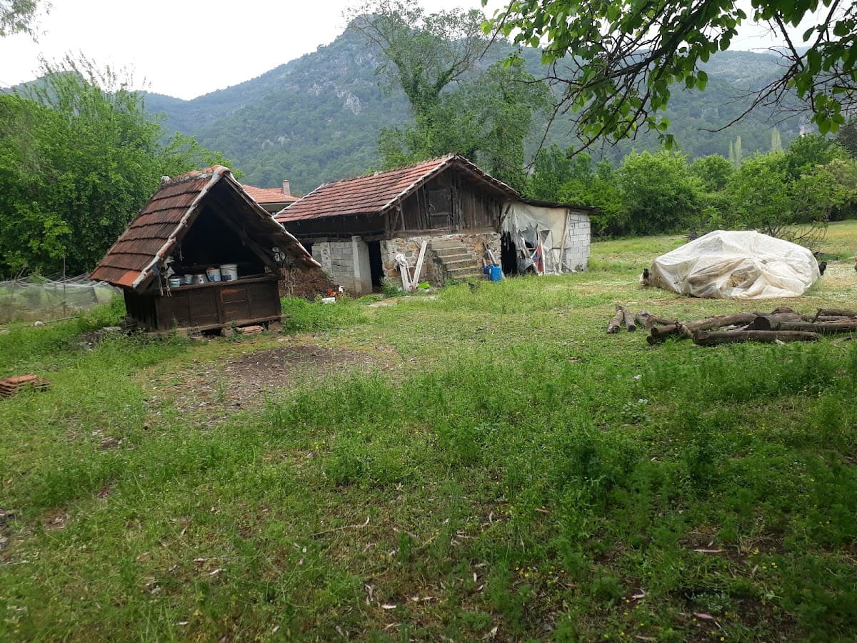 Selimin çiftliği