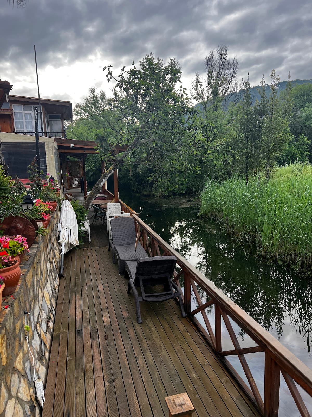 Three Palms Suites