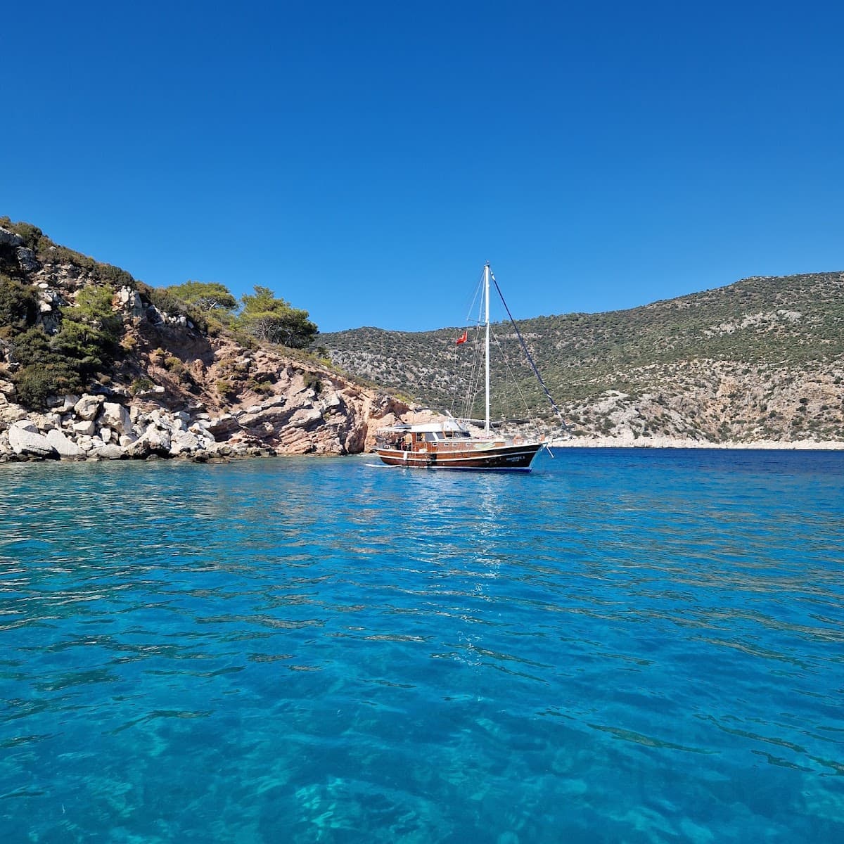 MobyDick Boats