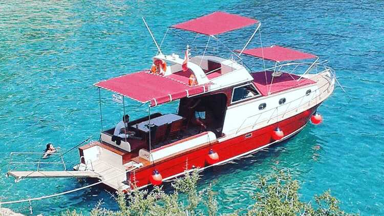 Trippy Boat Trip