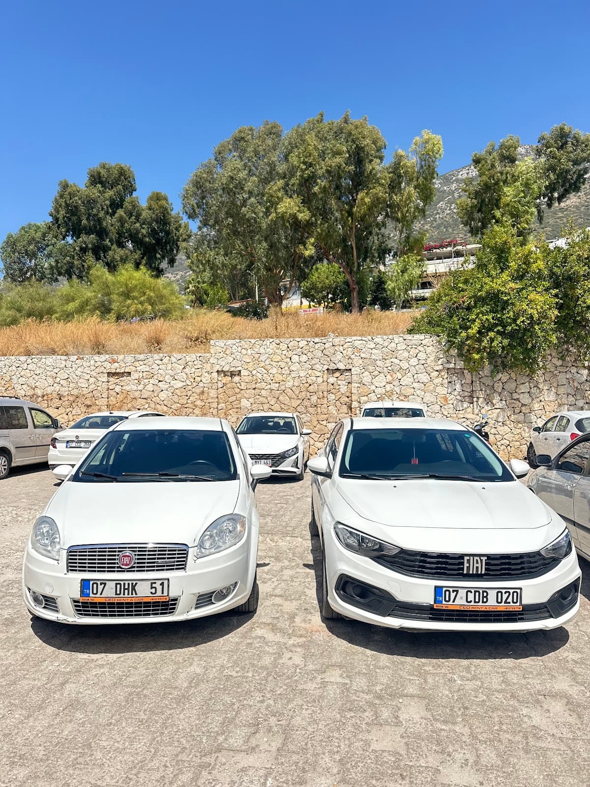 CEO Rent a Car