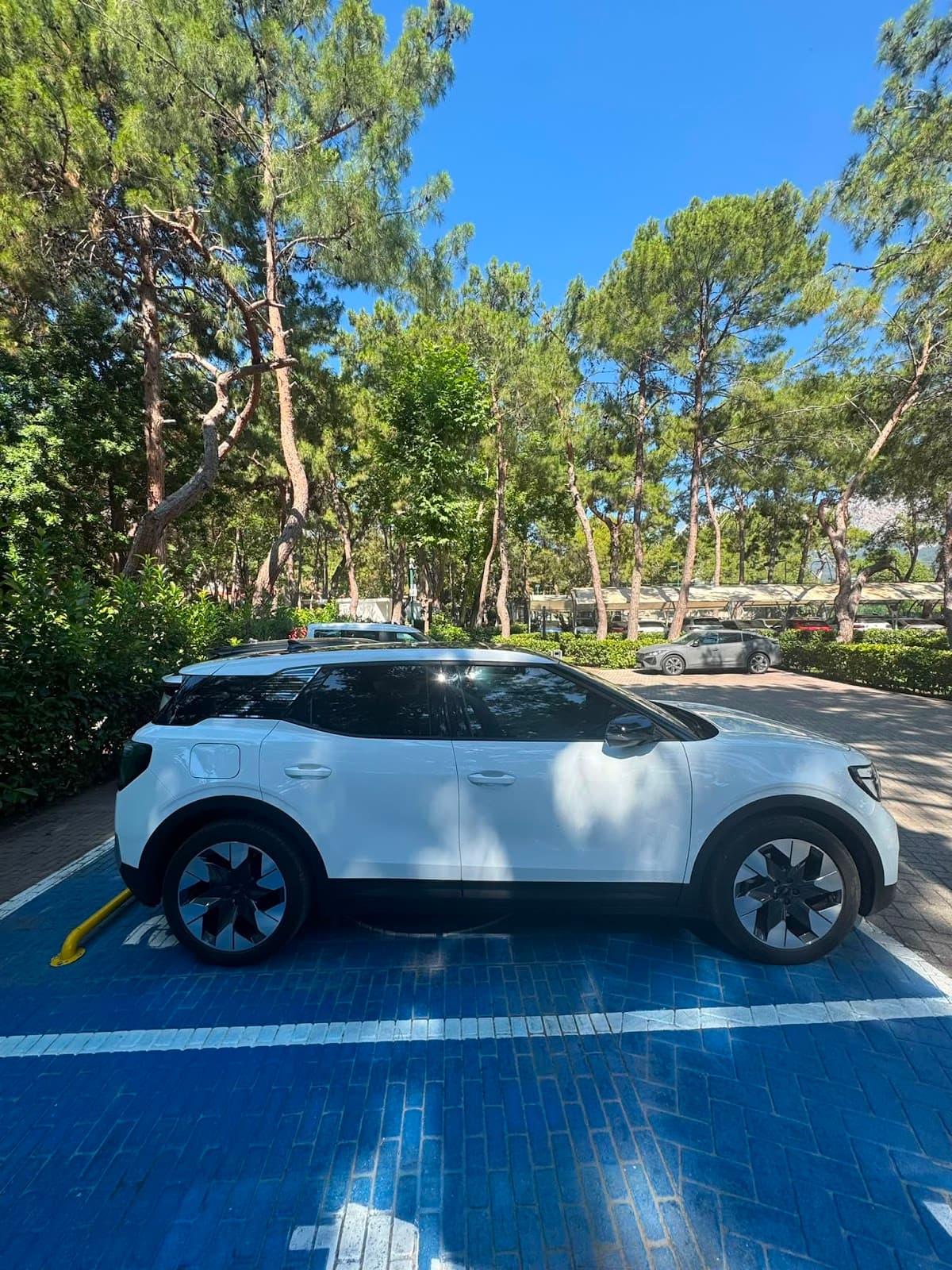 aventra Rent a Car
