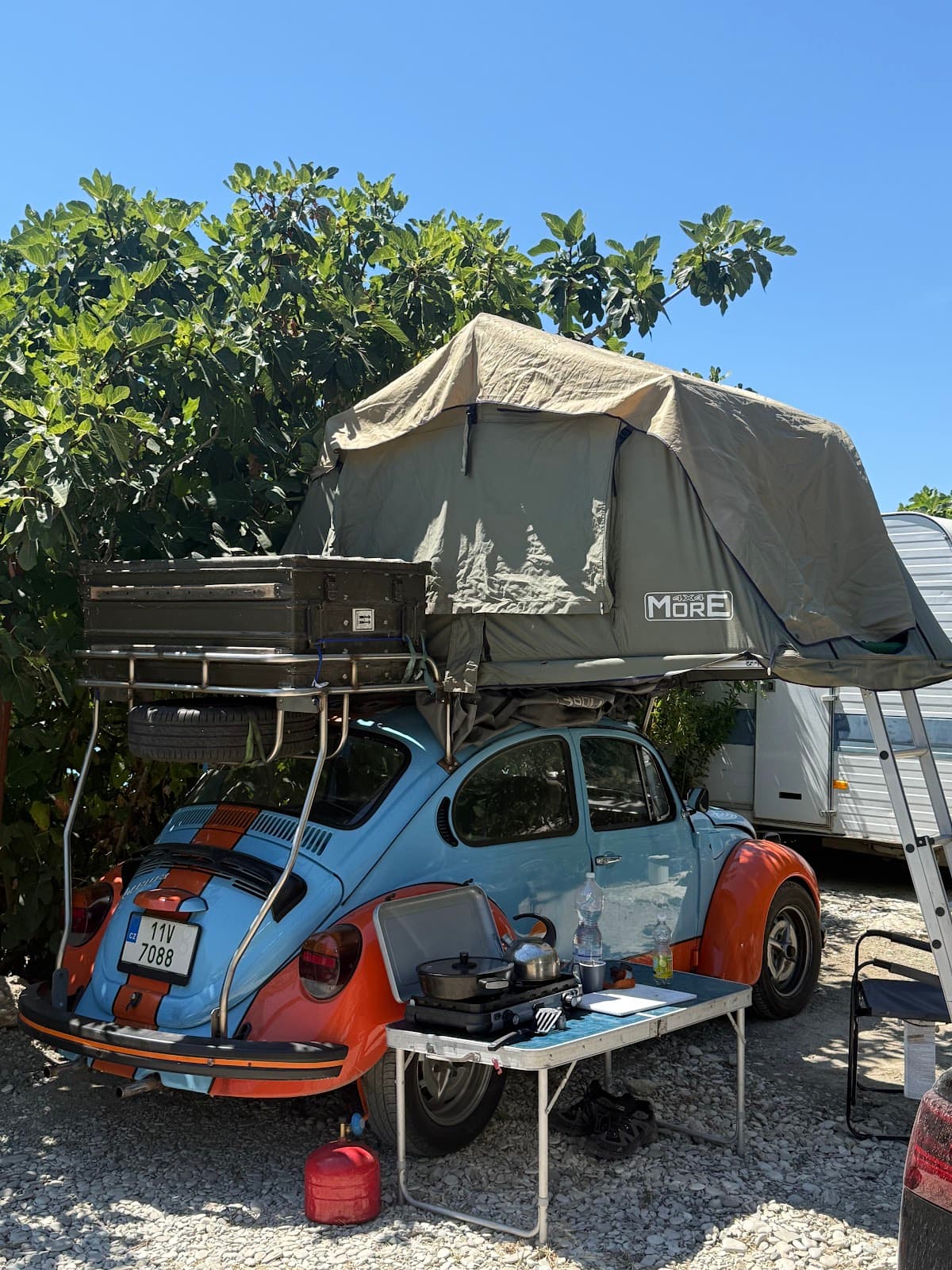Jungle Camping in Borsh & Campers