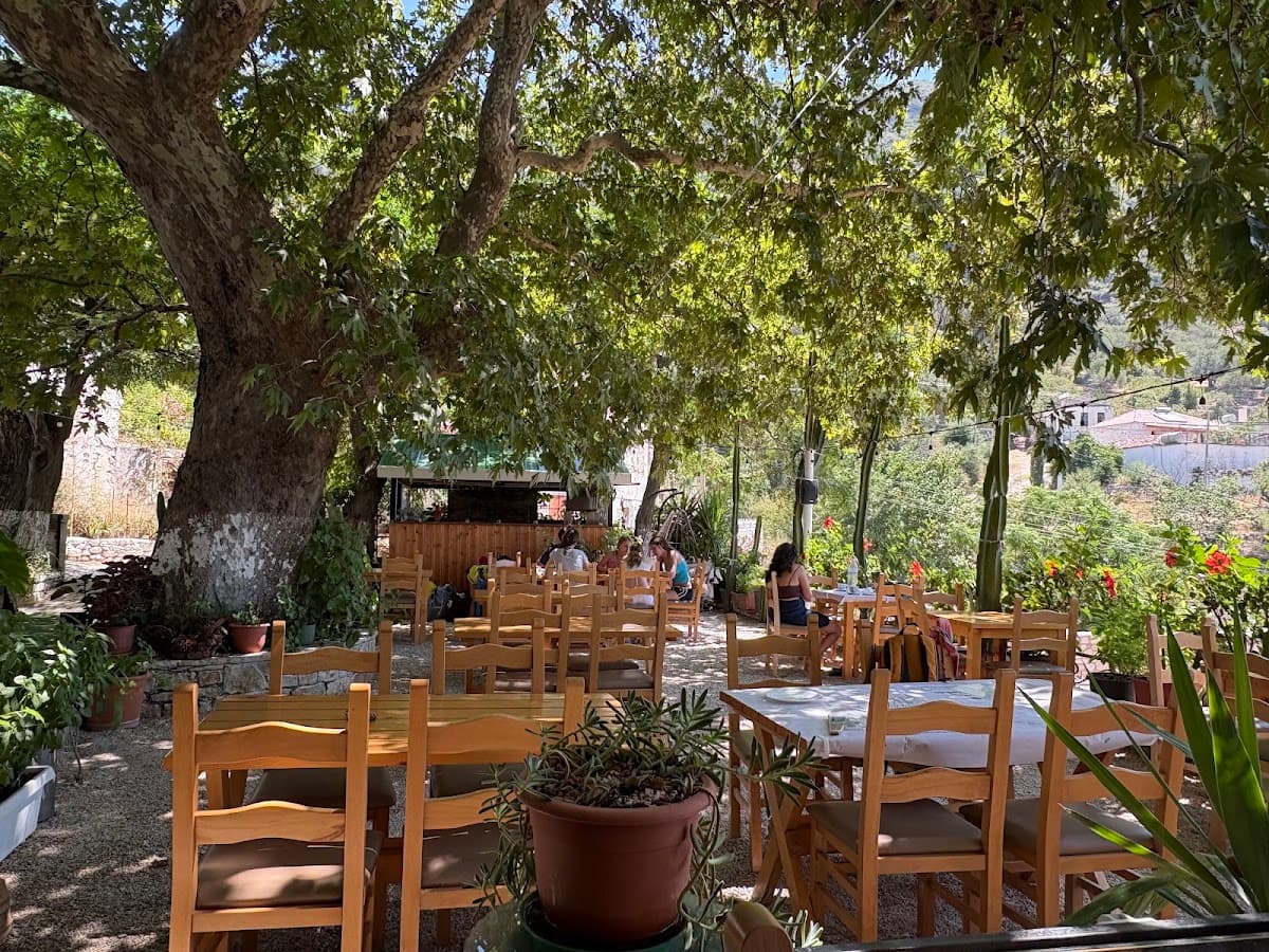 Taverna Dhrami
