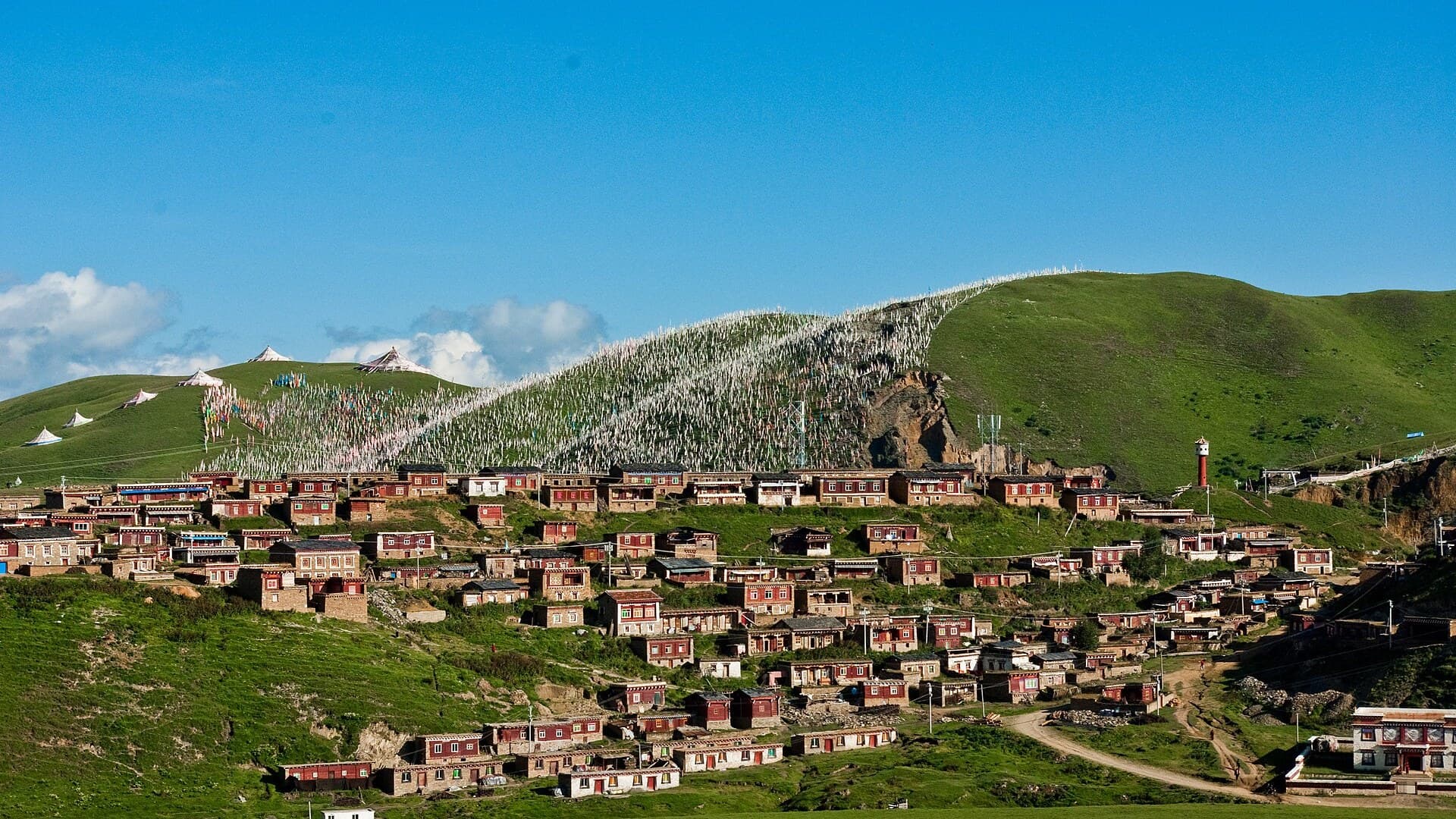 Tagong Rehberi