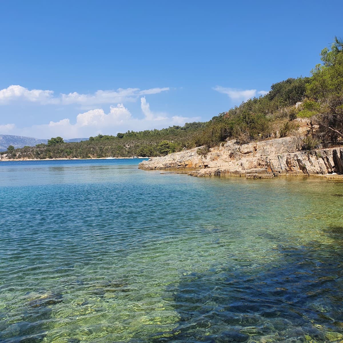 Žukova Beach