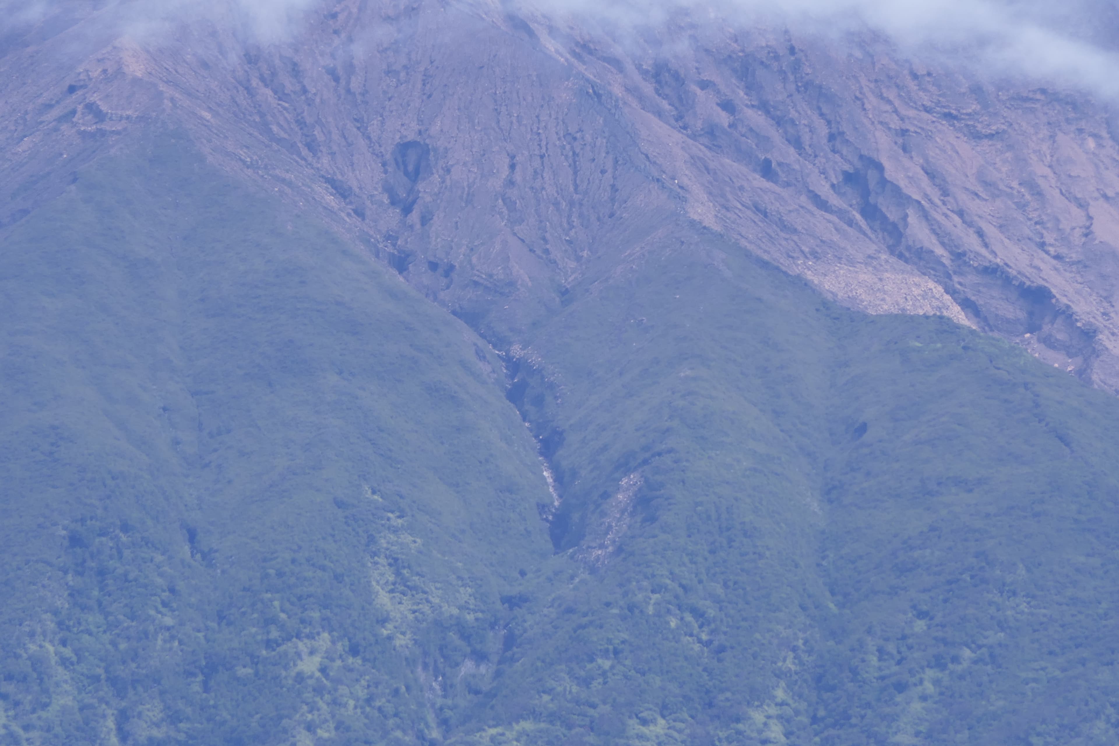 Kayu Aro